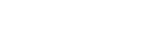 Dubai Development